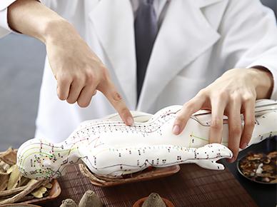 中医体质辨识分析软件系统